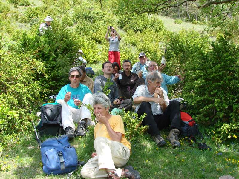 La chasse aux orchidées est ouverte dans la Drôme! Bouf1