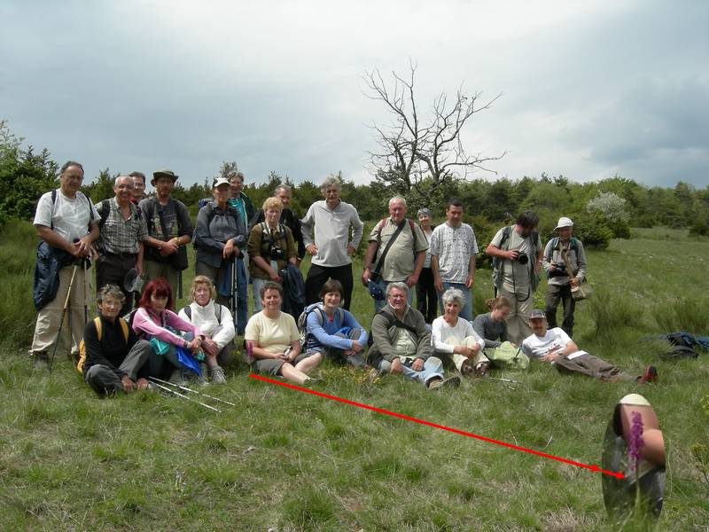 La chasse aux orchidées est ouverte dans la Drôme! Fin