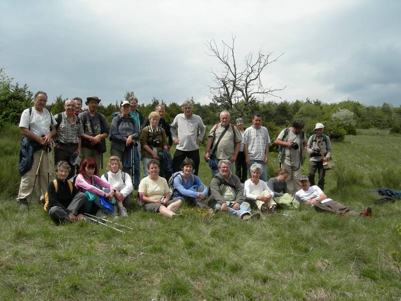 La chasse aux orchidées est ouverte dans la Drôme! Groupe