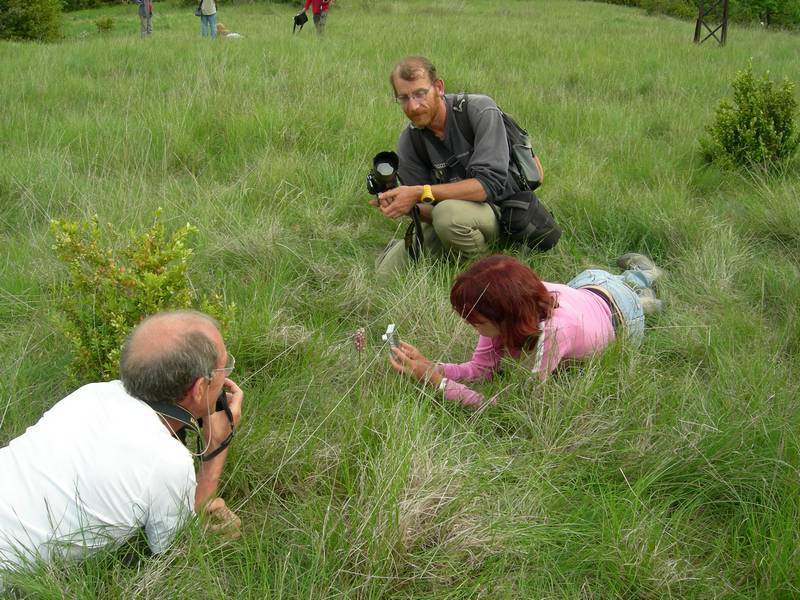 La chasse aux orchidées est ouverte dans la Drôme! Reflectphoto