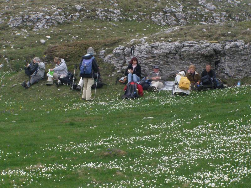 La chasse aux orchidées est ouverte dans la Drôme! Group